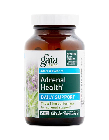 Blue Lace Long Sleeve Dress